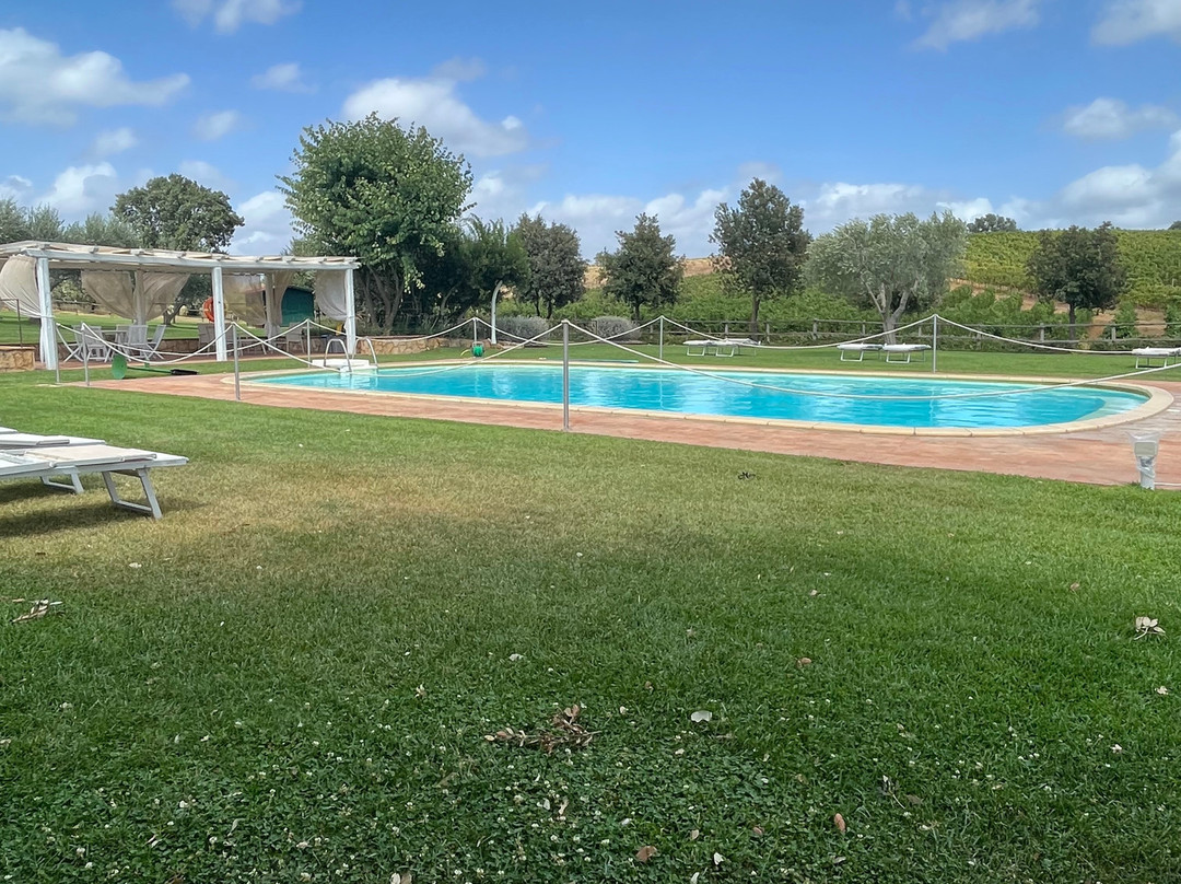 Agriturismo Il Casale degli Olivi主图