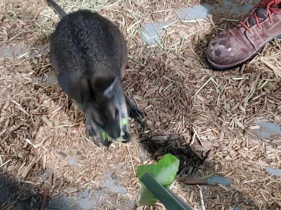 SeaQuest Fort Worth-沃思堡必去景点