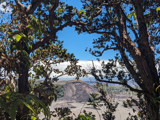 Kamaaina Custom Tours-希洛必去景点
