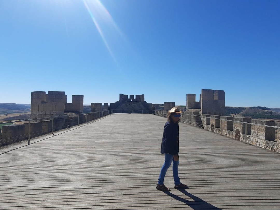 Museo Provincial del Vino-Penafiel必去景点