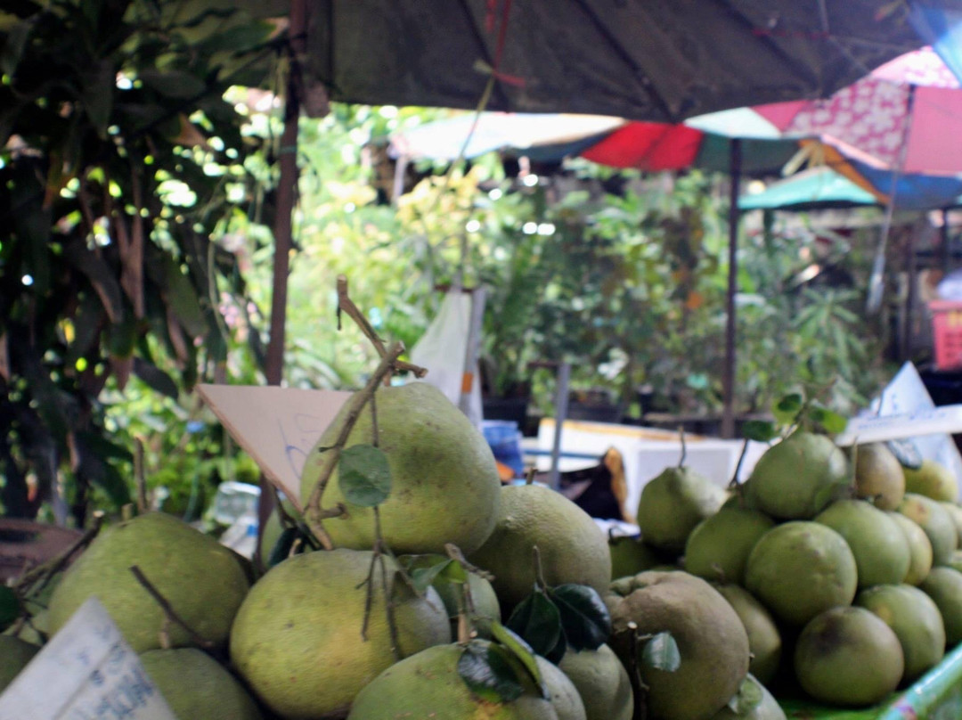 Don Wai Floating Market-佛统必去景点
