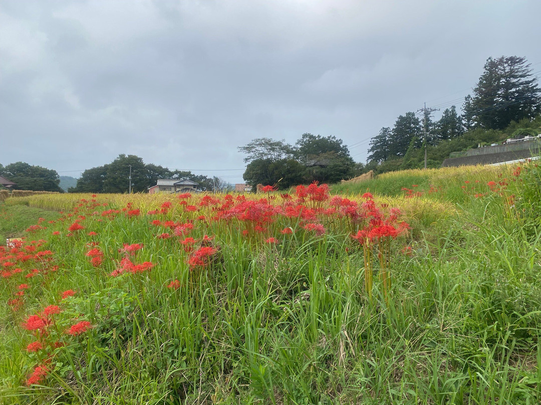 Terasaka Rice Terraces-横濑町必去景点