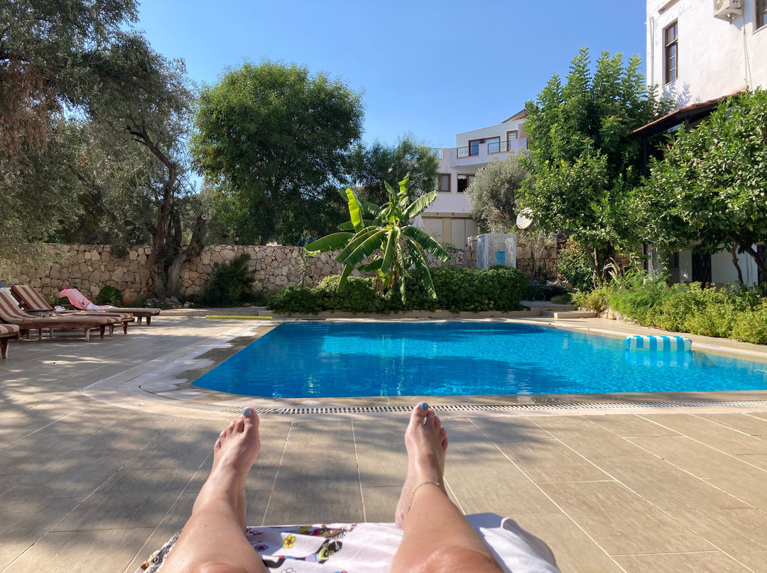 Pasha Apart-Hotel主图