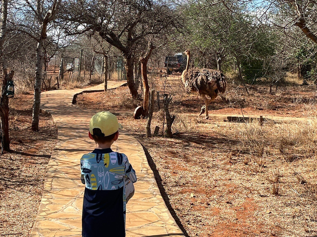 Oldonyo Orok Lodge主图