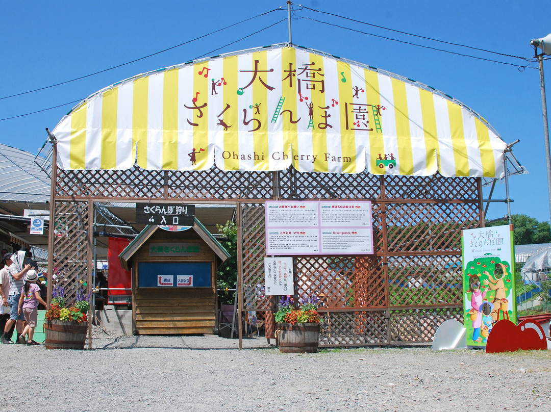 Ohashi Cherry Farm-芦别市必去景点
