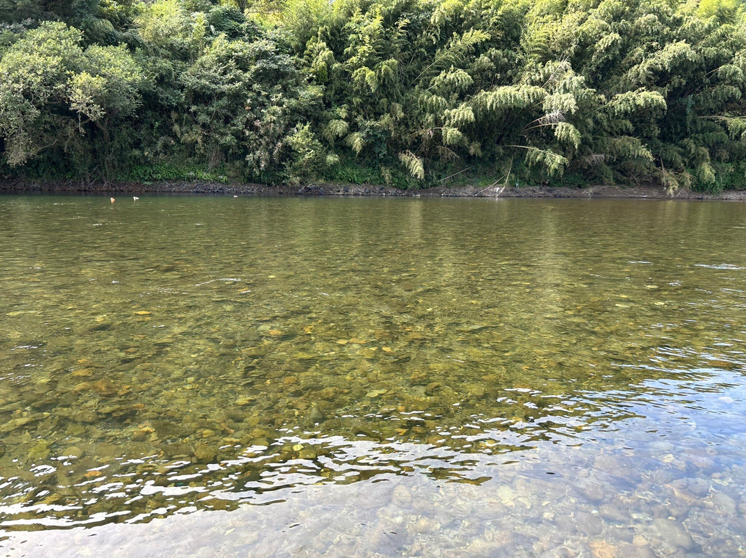 Yakatabune Nattoku-四万十市必去景点