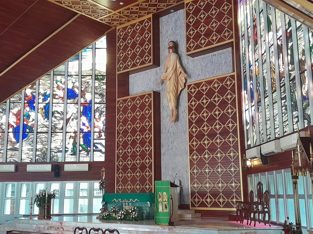Our Lady of Lourdes Cathedral景点图片