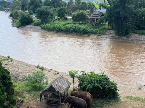 清迈T.U.M骑象之行-清迈必去景点