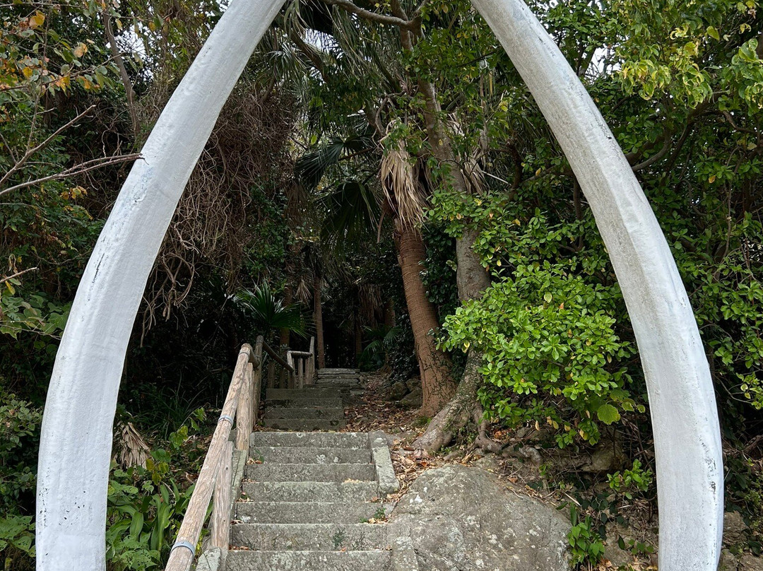 Kaido Shrine景点图片