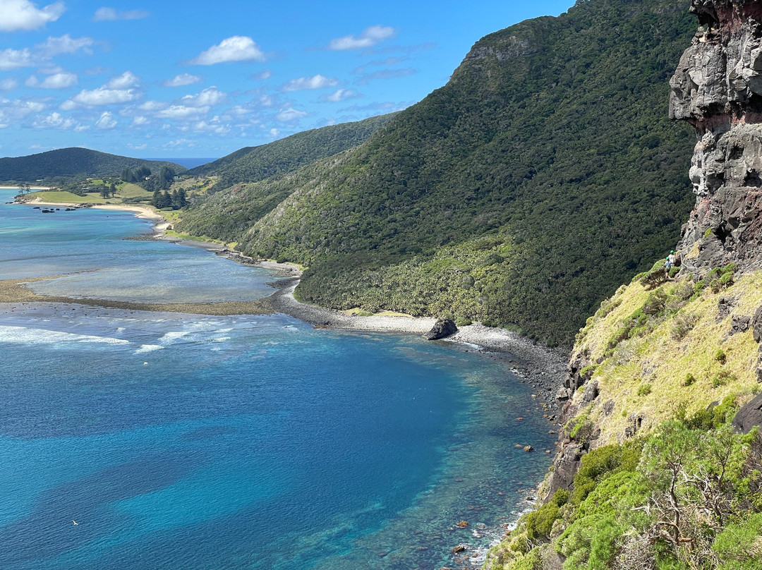 Lord Howe Environmental Tours景点图片