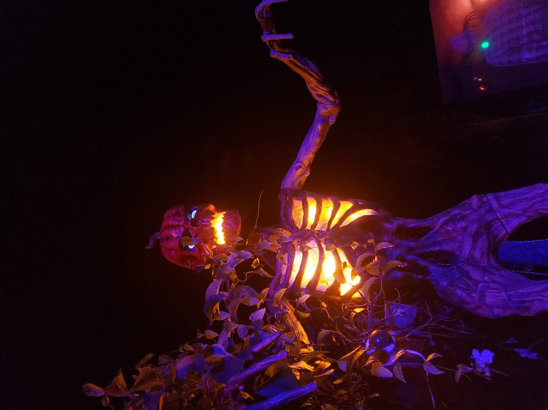 Jardin Botanico y Cultural William Miranda Marin-Caguas必去景点