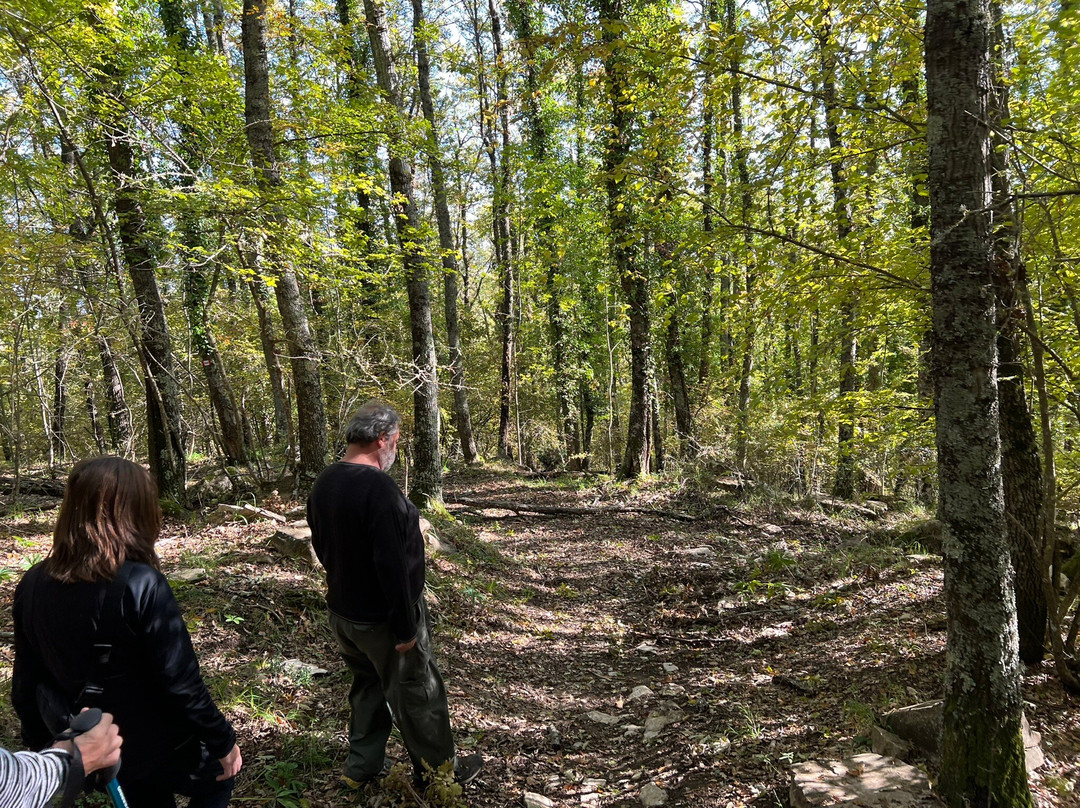 Villaggio Tours-Allerona必去景点