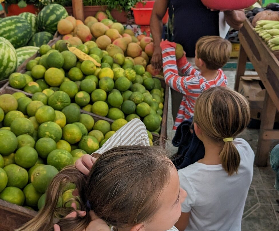 Riviera Maya Food Tours-从莫雷洛斯港必去景点