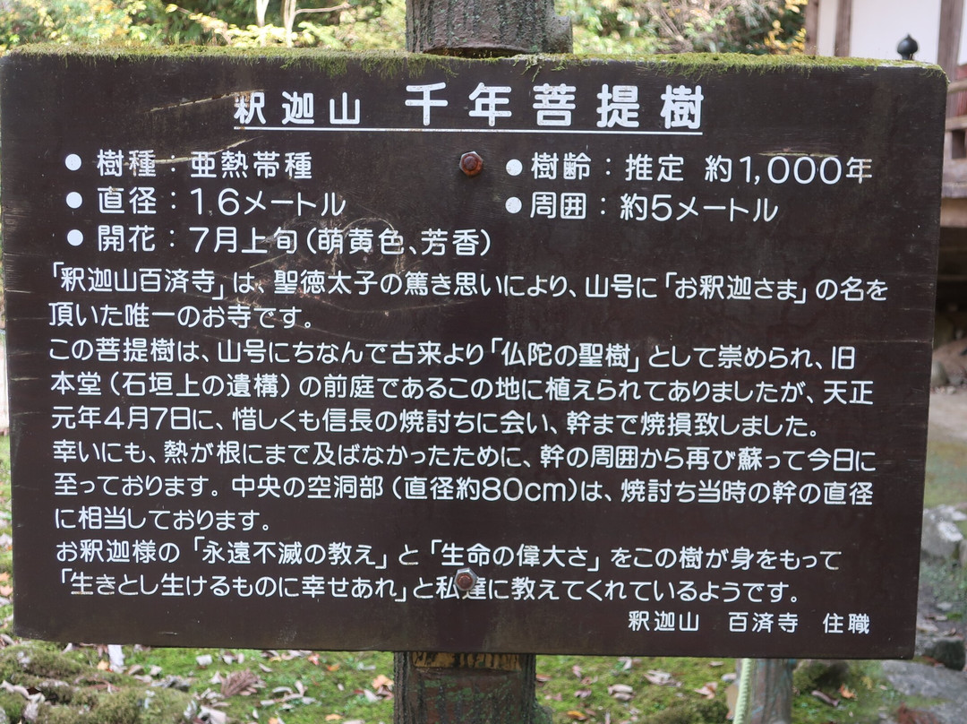 Hyakusai-ji Temple-东近江市必去景点