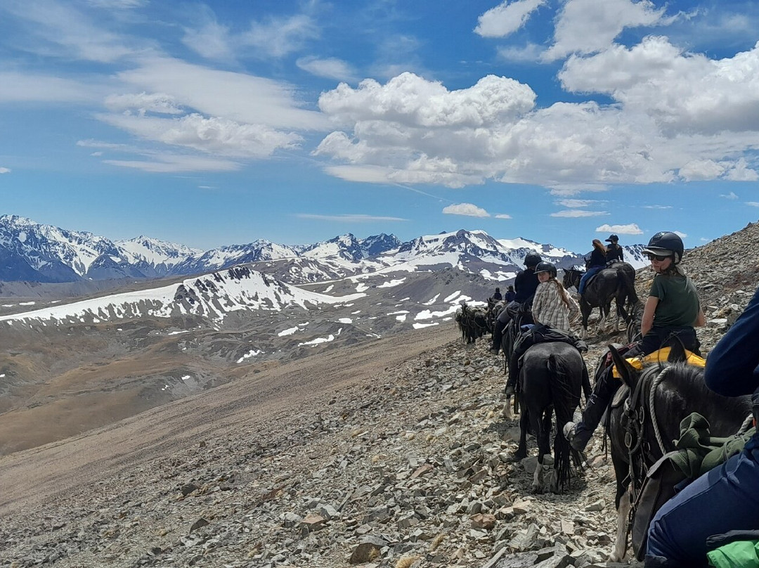 Alpine Horse Safaris景点图片