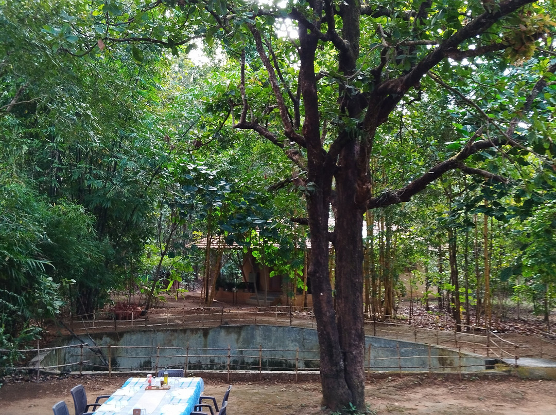 Salban - the Kanha Homestay主图