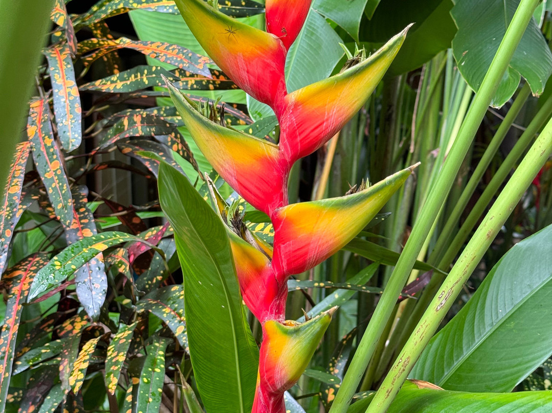 杜马格特亚特兰蒂斯潜水度假酒店主图