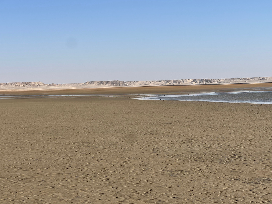 Dakhla Quad & Events-达赫拉必去景点