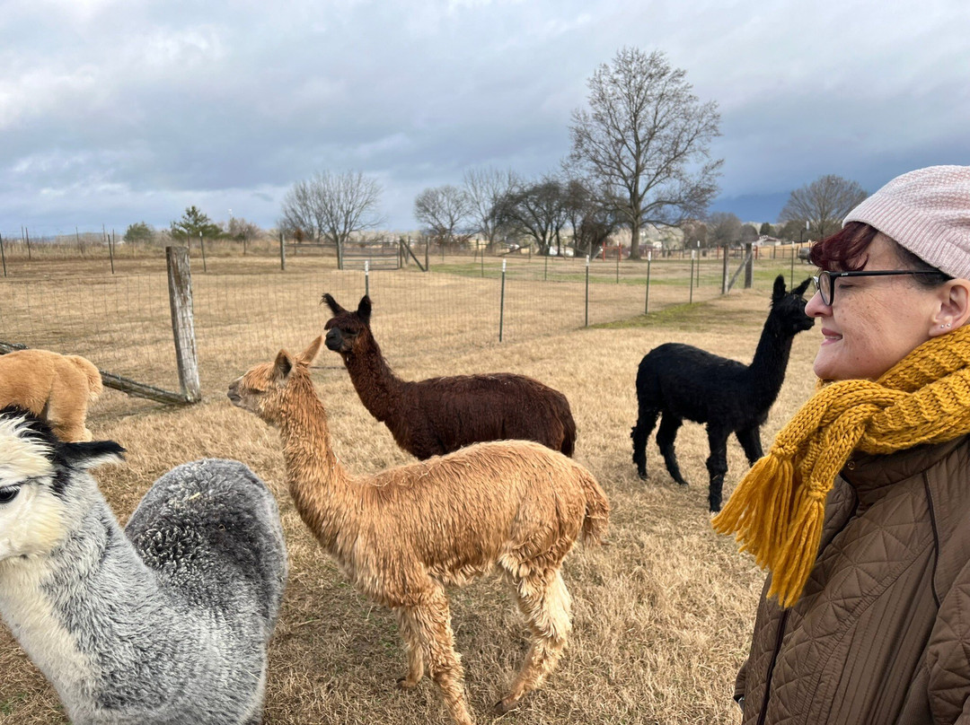Rocking Chair Farm-Corryton必去景点