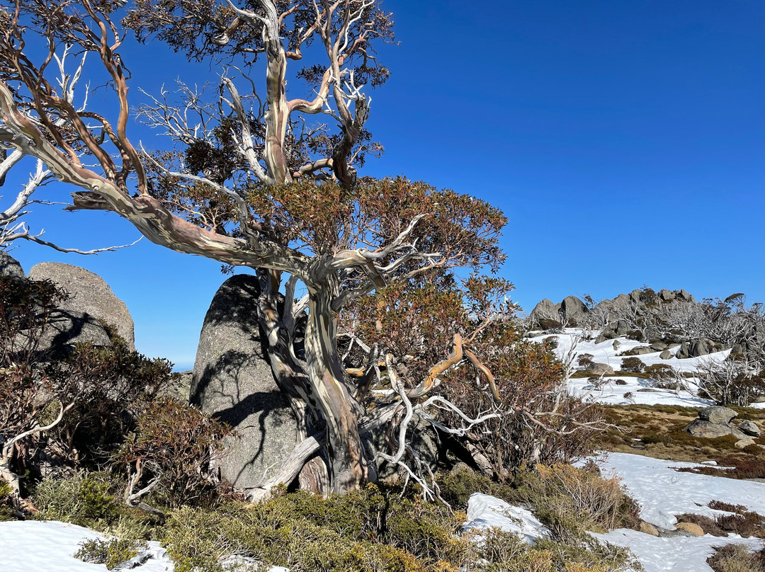 Porcupine Walking Trail景点图片