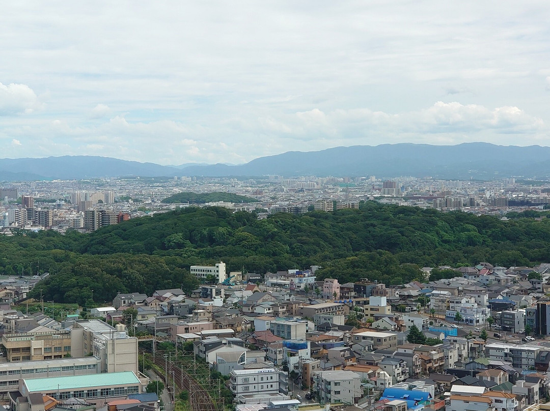 Sakai City Hall Observatory 21st Flour-坂井市必去景点