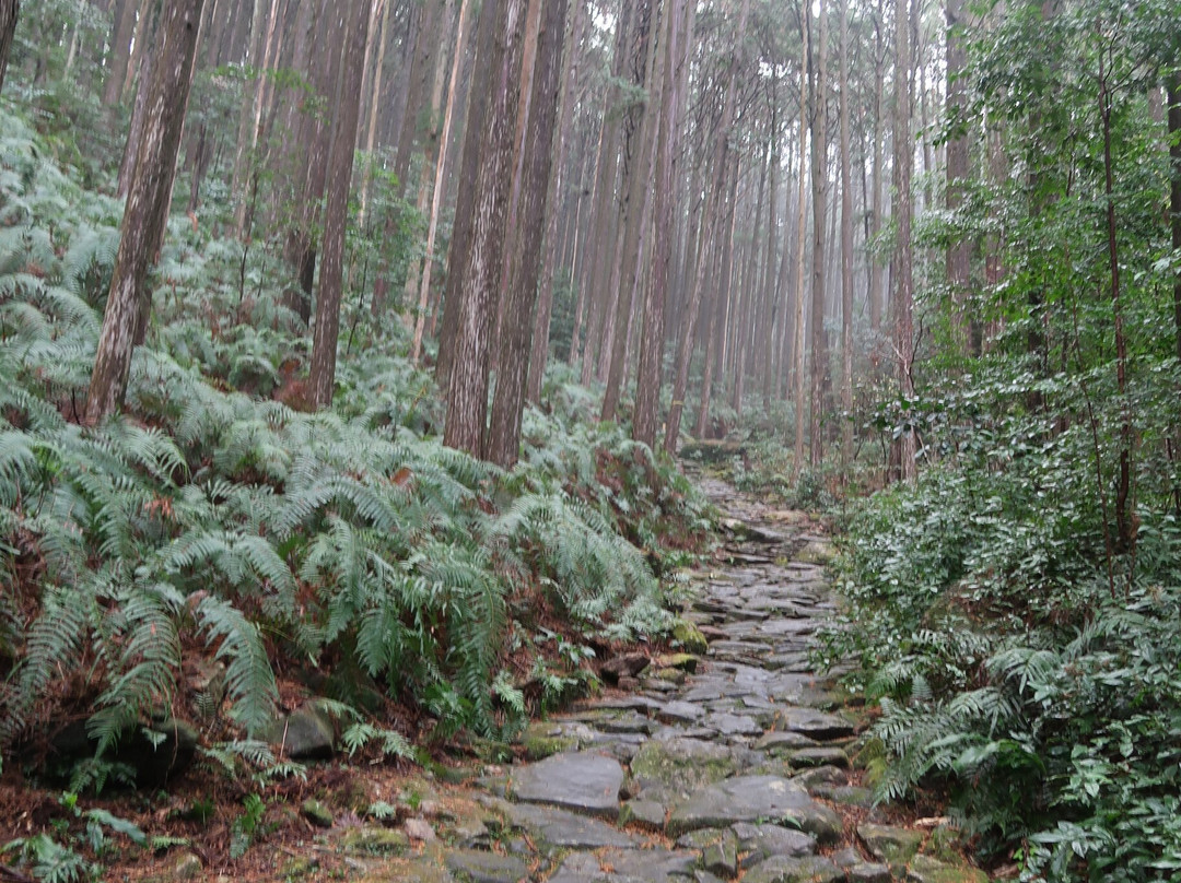 Kumano Kodo Magose Pass景点图片