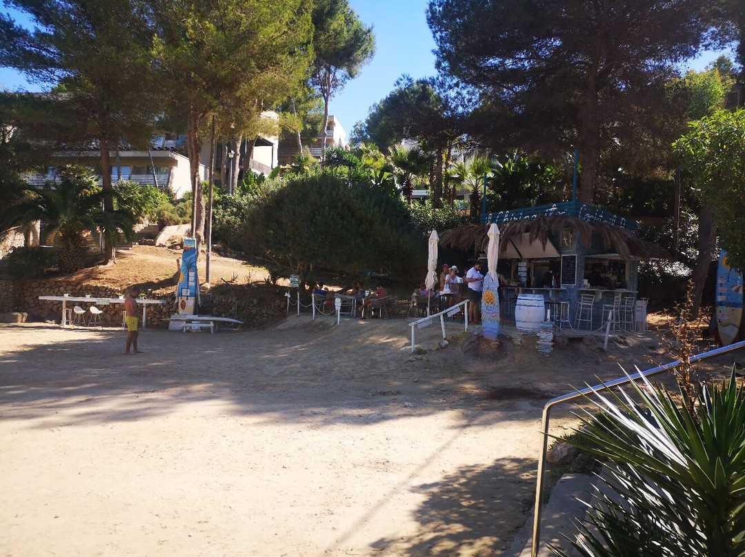 Cala Vinyes beach-Cala Vinyes必去景点