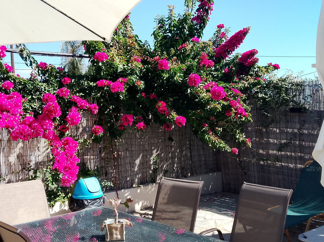 Secret Garden Hotel主图