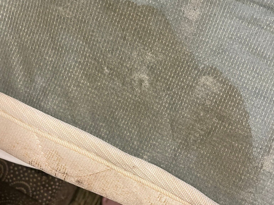 Staybridge Suites Saskatoon - University by IHG主图