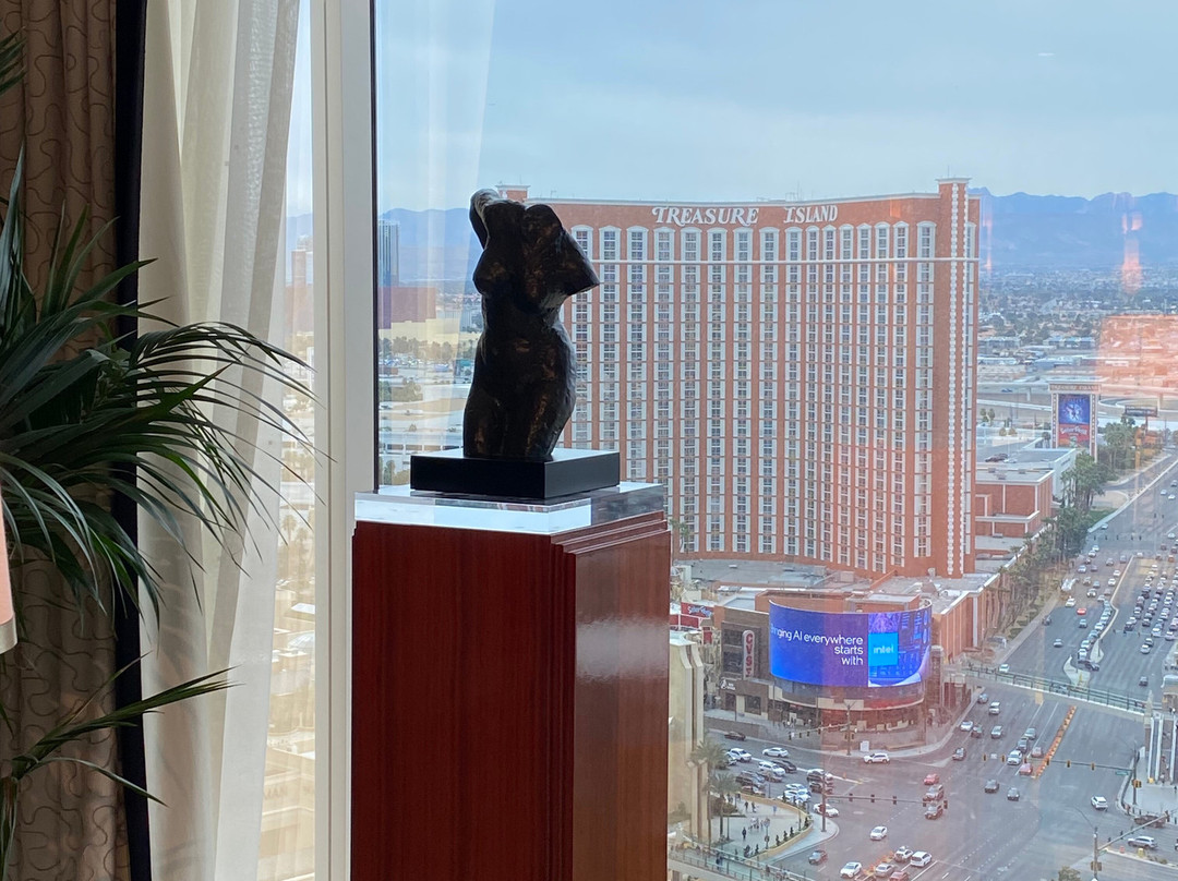 拉斯维加斯永利酒店主图