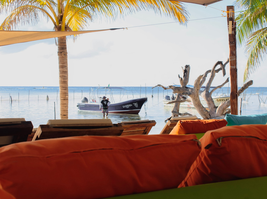 Pez Quadro Beach Club景点图片
