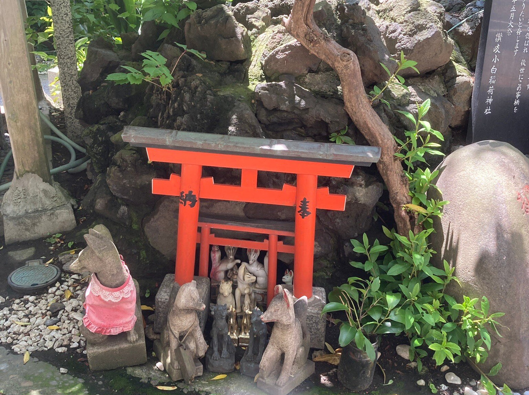 Sanuki Kohaku Inari Shrine-Hamamatsucho必去景点