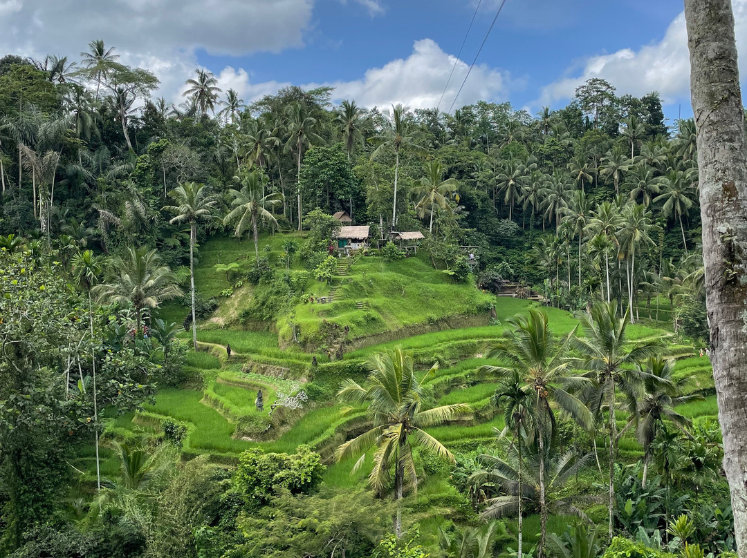 Bali Trekking Service-乌布必去景点