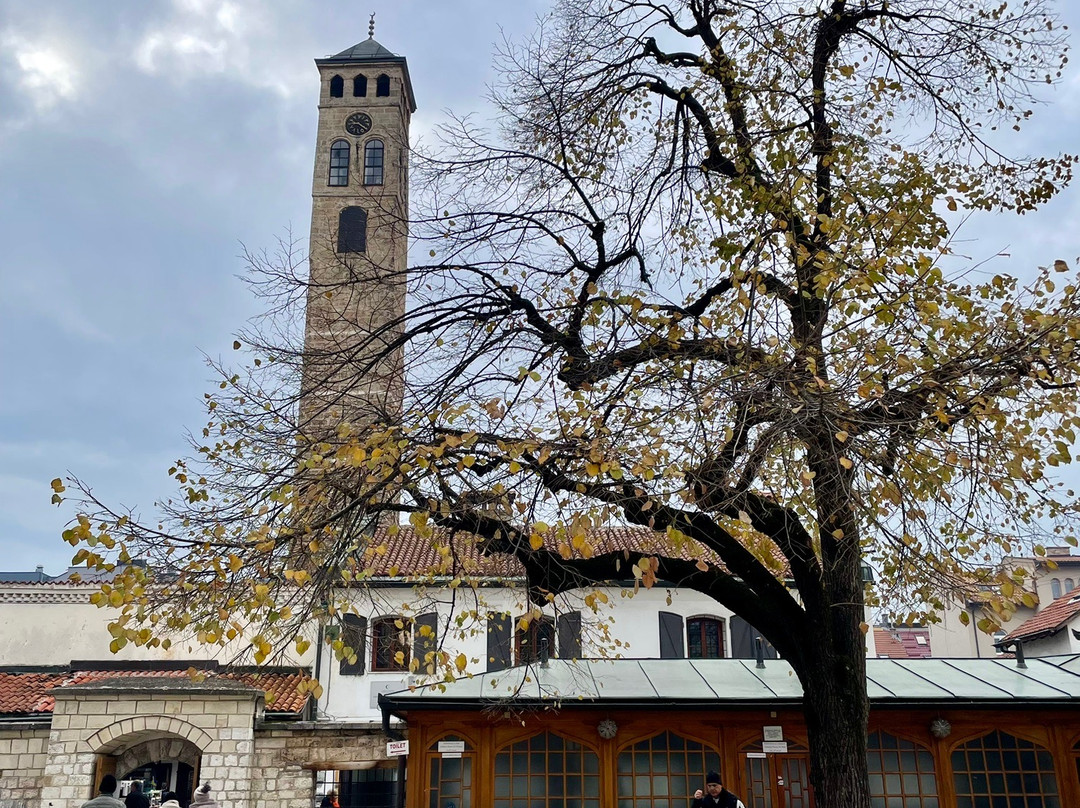 Old Sarajevo Clock Tower景点图片