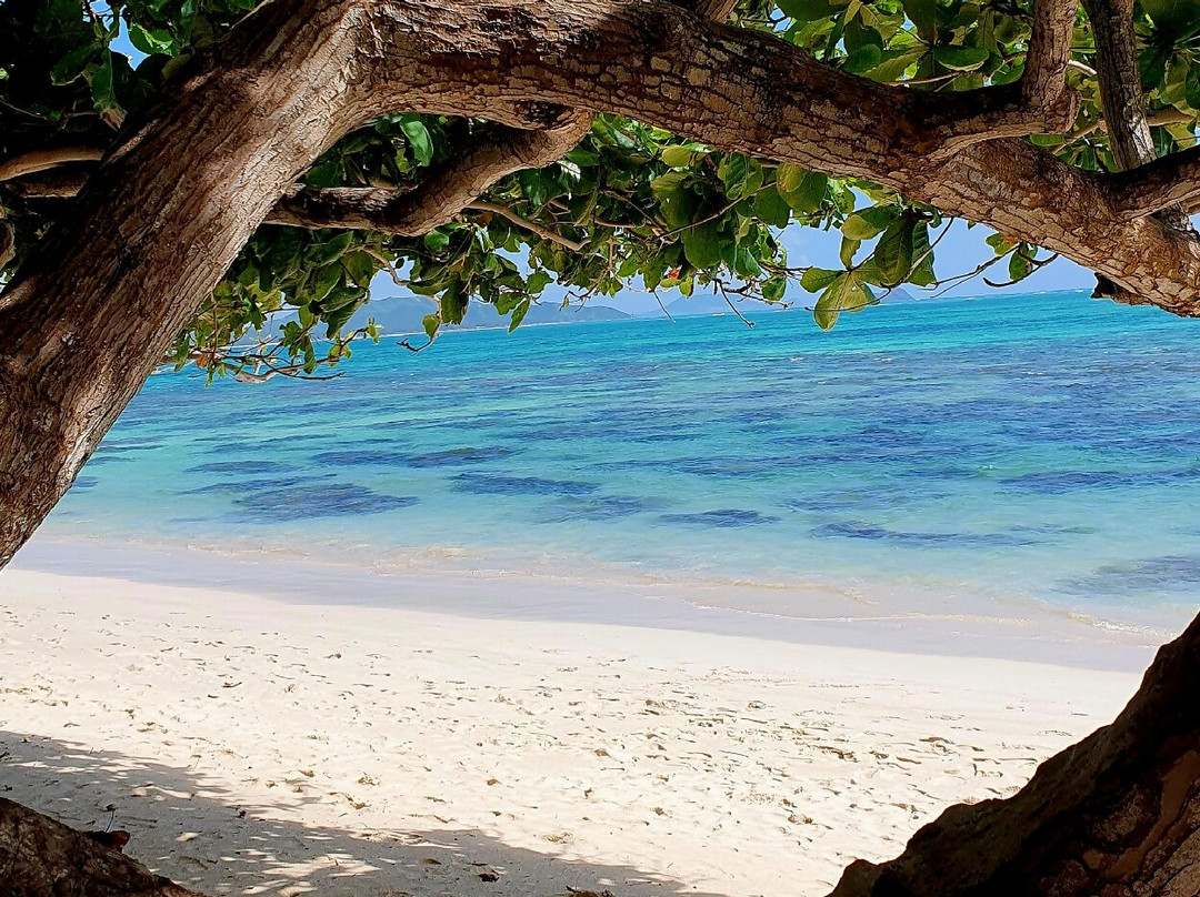 Kaiona Beach Park景点图片