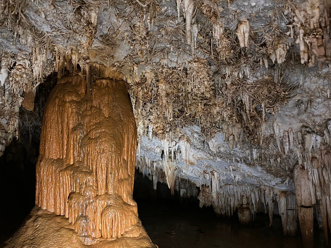 Cueva De Pozalagua-Valle de Carranza必去景点