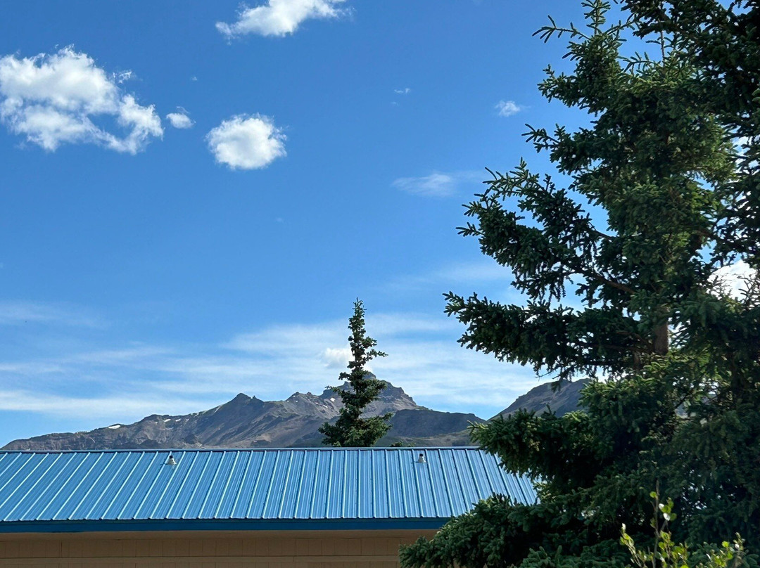 Denali Park Hotel主图