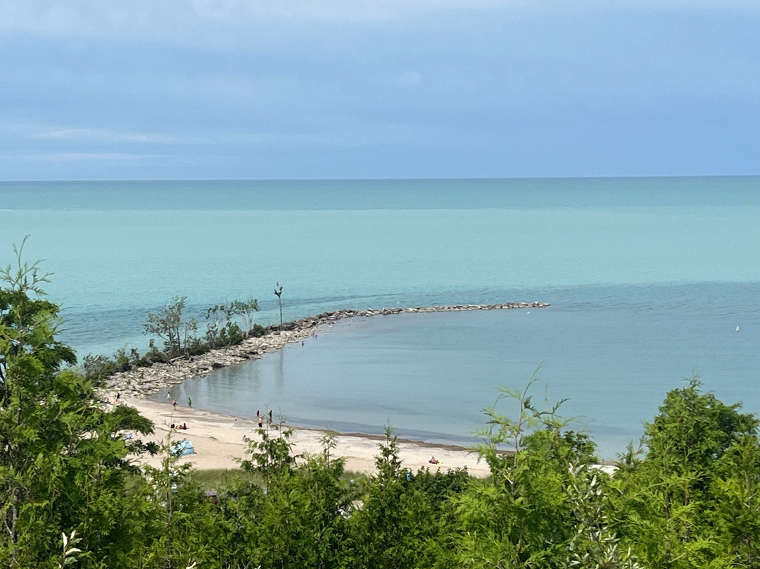 Cove Beach景点图片