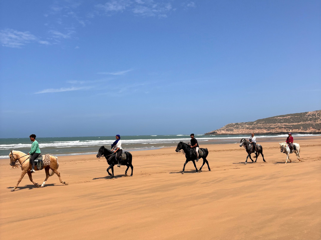 Morocco Ocean Horses