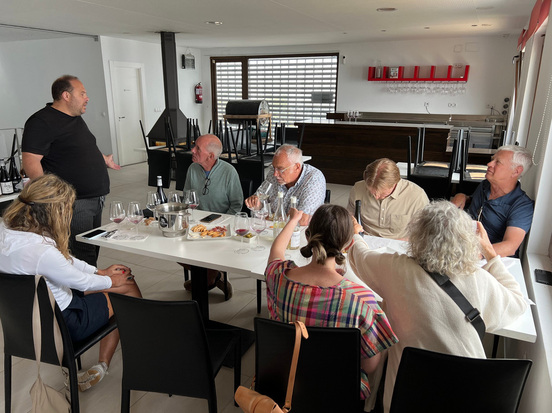 Bodegas La Divisa-Torvizcon必去景点