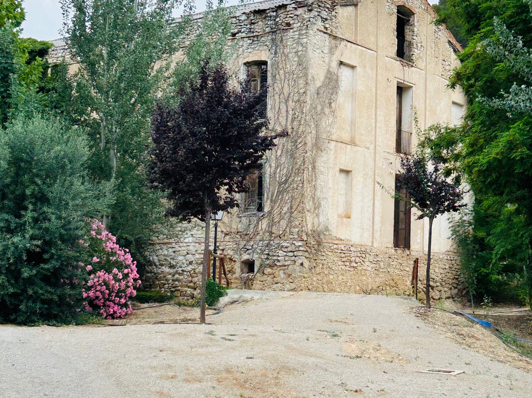 Balneario Paracuellos de Jiloca Hotel主图