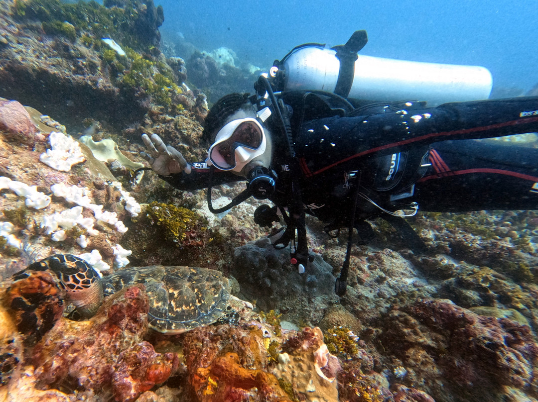 Ocean Wonder Dive Center景点图片