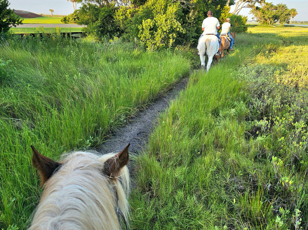 The Stables at Frederica,-圣西蒙斯岛必去景点