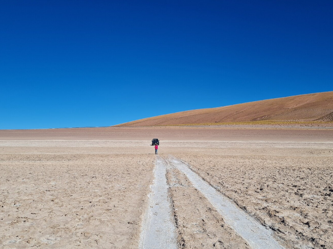 Salar de Tara-圣佩德罗-德阿塔卡马必去景点
