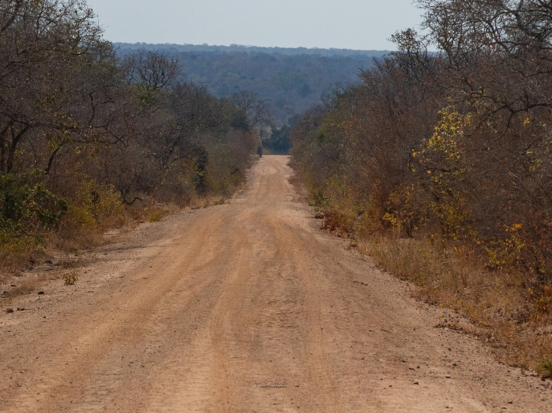 Mukambi Safari Lodge主图