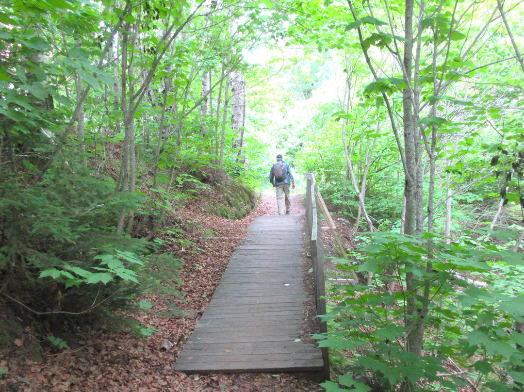 Sentier Du Parc De Nos Ancêtres景点图片
