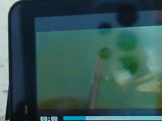 Bella Resort & Spa主图