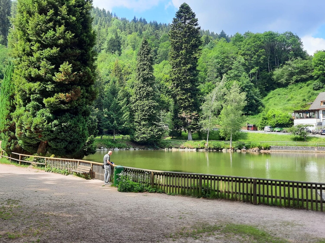 Bergsee景点图片