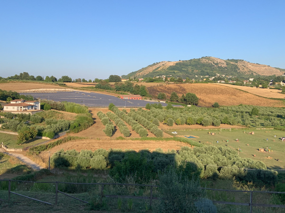 Il Faggio 17 B&B Artena主图