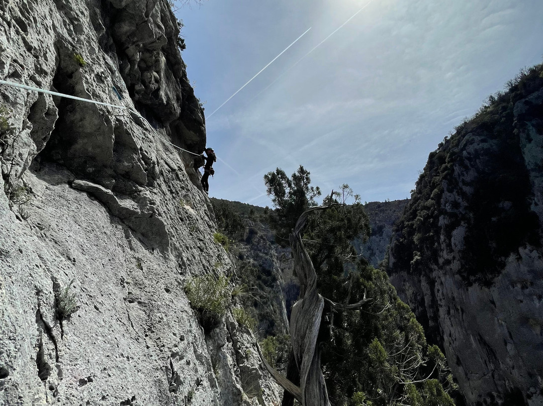 Rock N Wild景点图片